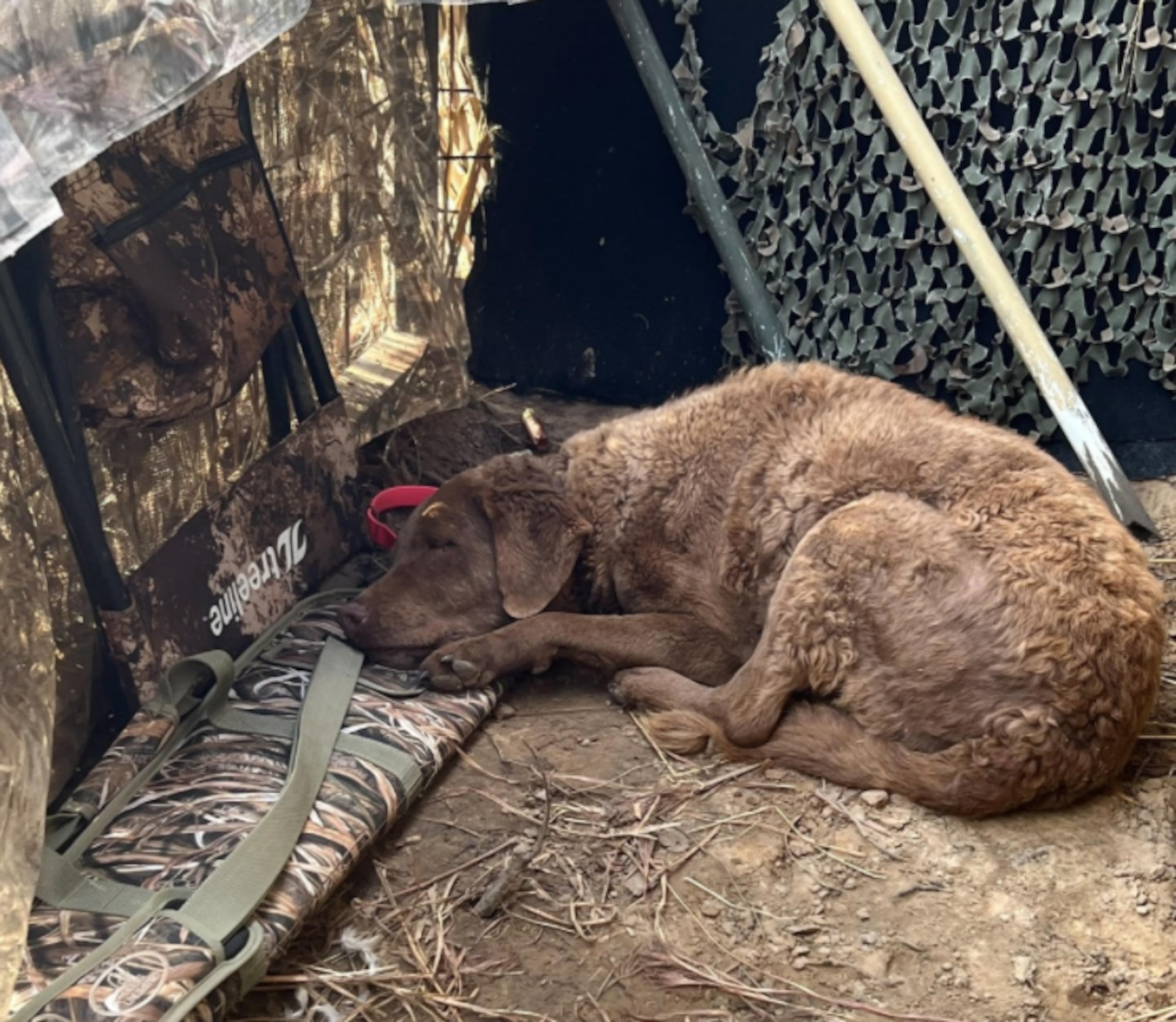 Legacy Tanker FMS Chief Katie Ward teleworks from a duck blind from her home in Oklahoma. Her dog helps her work. Courtesy photo.