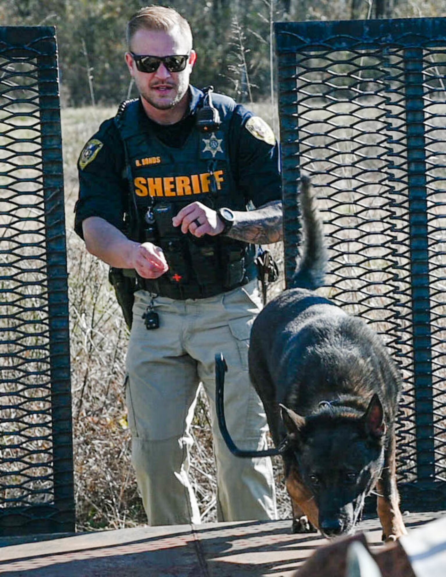 Police dogs are trained to recognize numerous controlled substances, making them a valuable asset to law enforcement agencies.