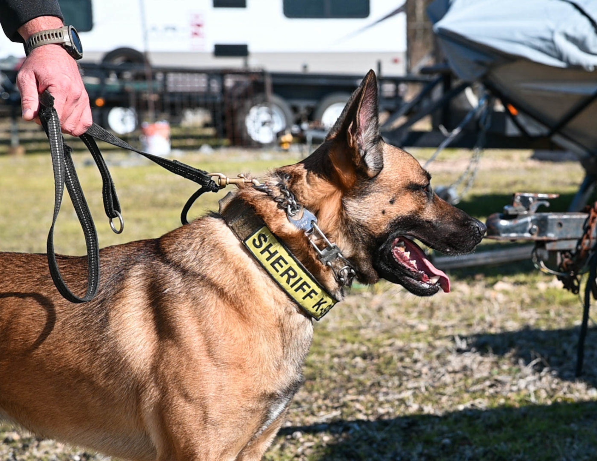 Police dogs are trained to recognize numerous controlled substances, making them a valuable asset to law enforcement agencies.