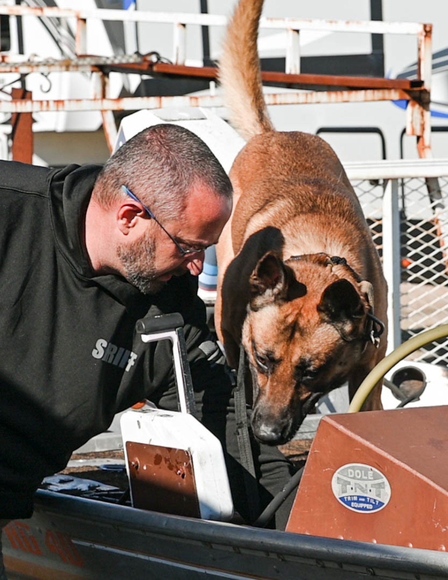 Police dogs are trained to recognize numerous controlled substances, making them a valuable asset to law enforcement agencies.