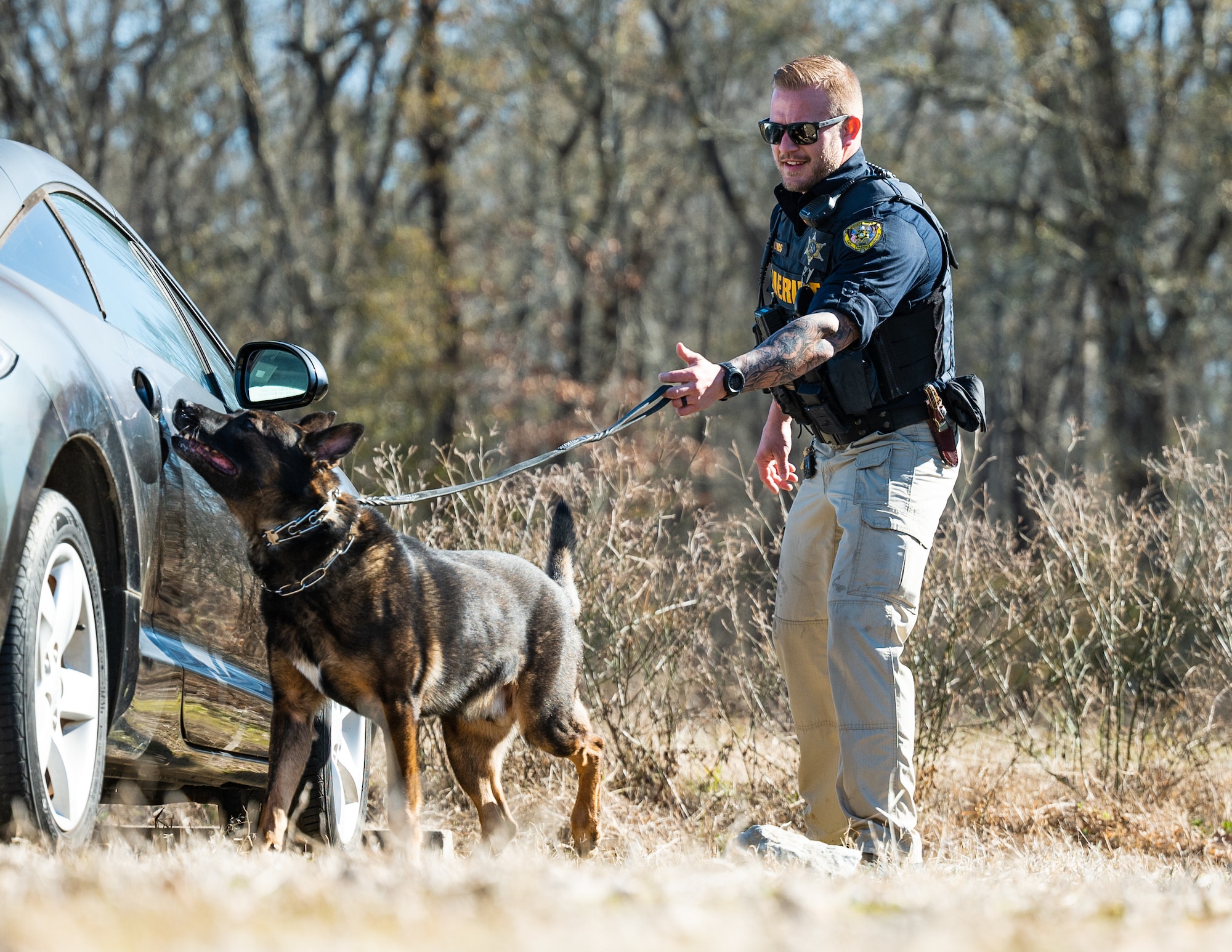Police dogs are trained to recognize numerous controlled substances, making them a valuable asset to law enforcement agencies.