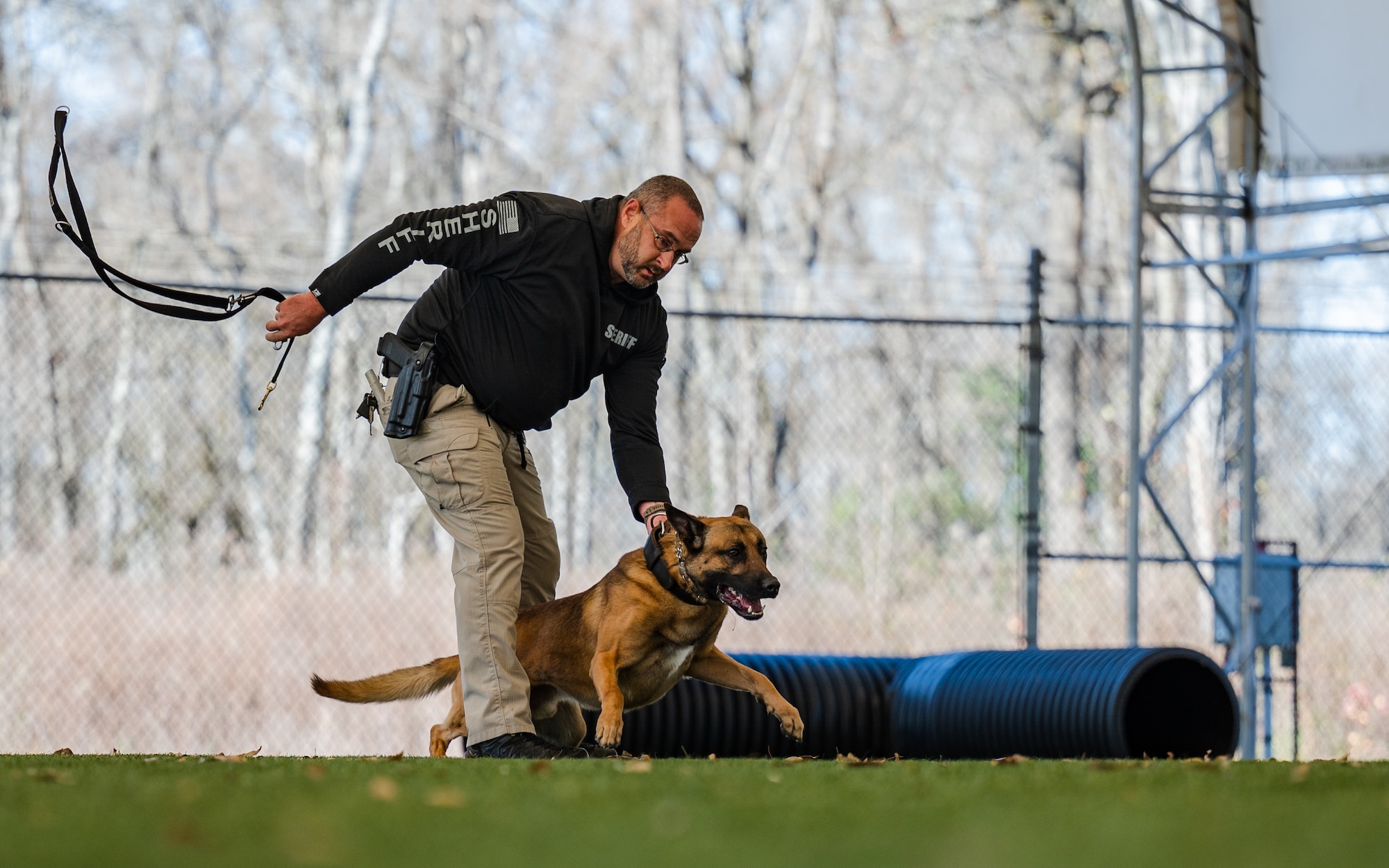 Police dogs are trained to recognize numerous controlled substances, making them a valuable asset to law enforcement agencies.
