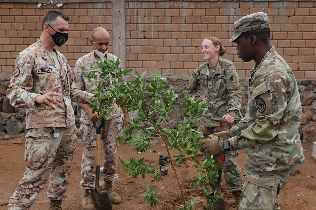 Two U.S. service members talk with two Italian service members by a newly planted sapling.