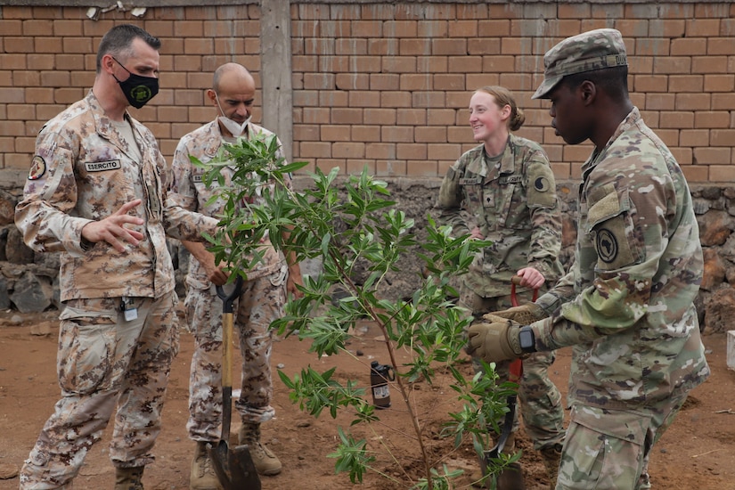 Two U.S. service members talk with two Italian service members by a newly planted sapling.