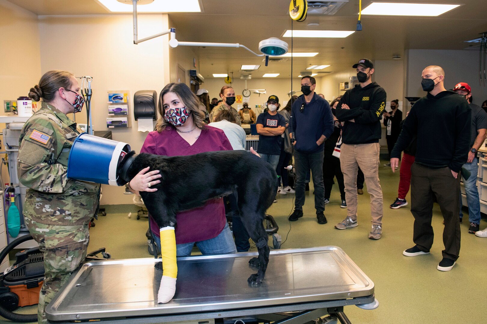 Actor Channing Tatum visits JBSA, Military Working Dogs