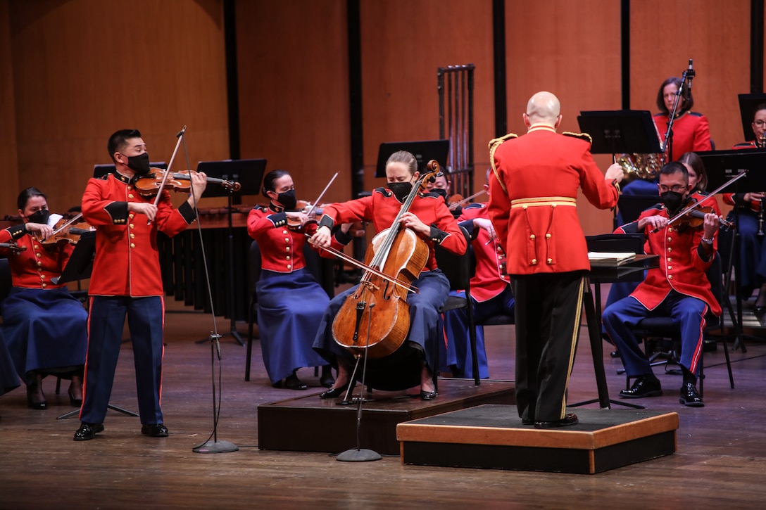 Marine Chamber Orchestra: Feb. 20, 2022