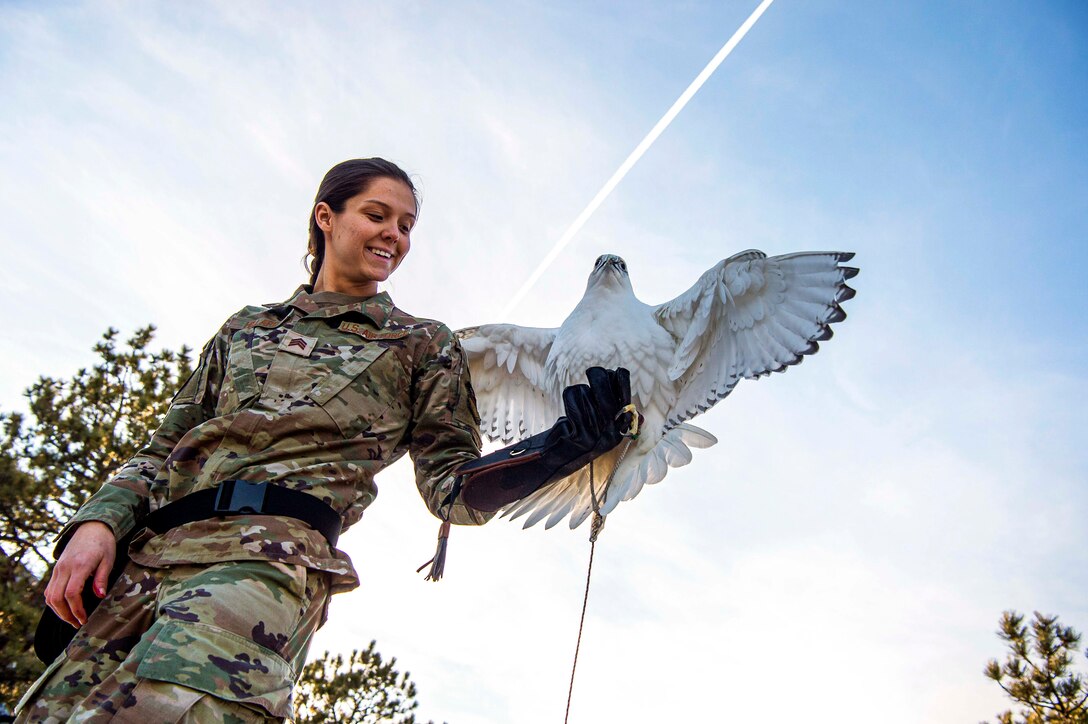 An Air Force academy performing falcon sits on a cadet’s hand.