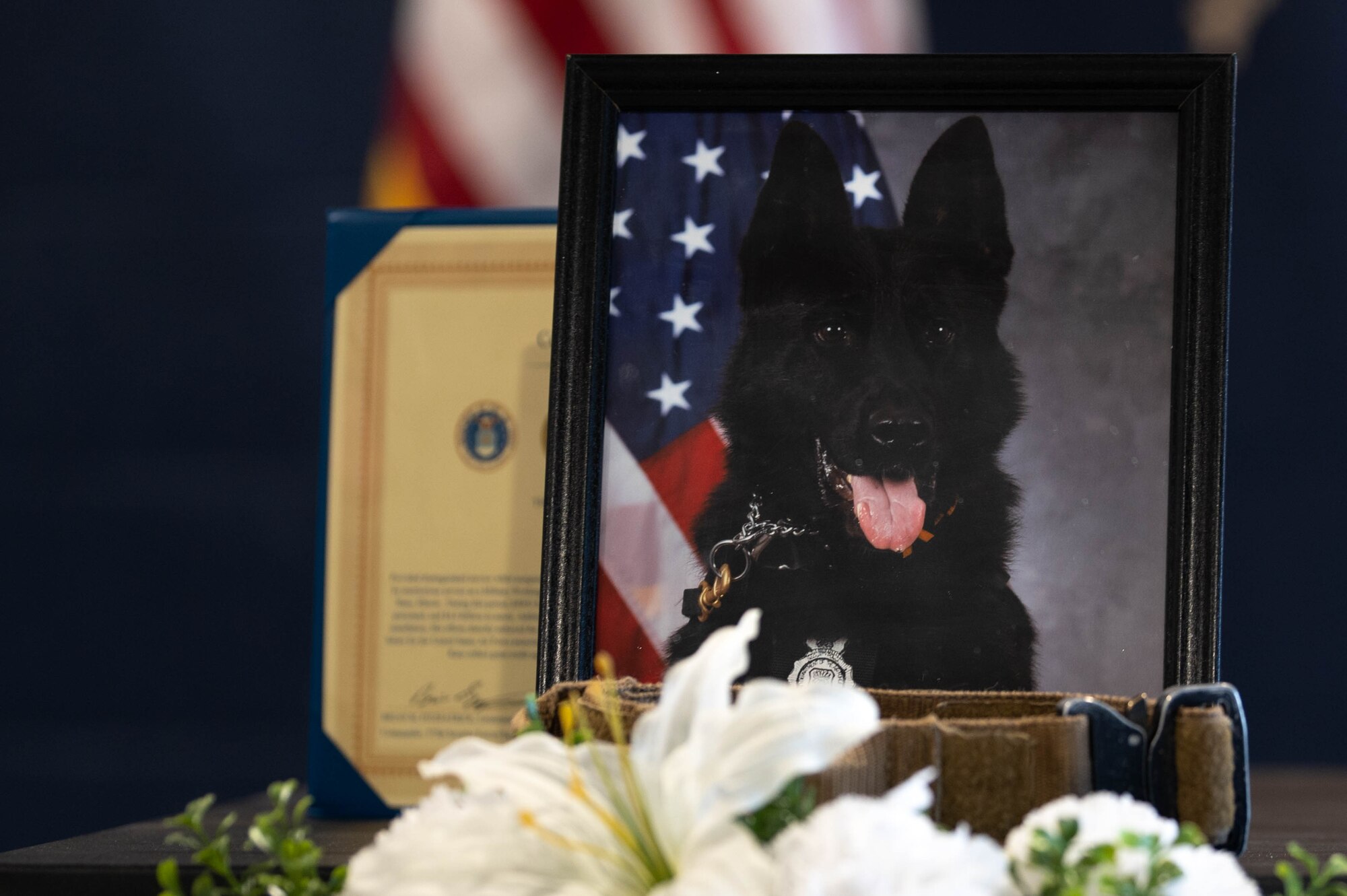 Photo of a MWD memorial.