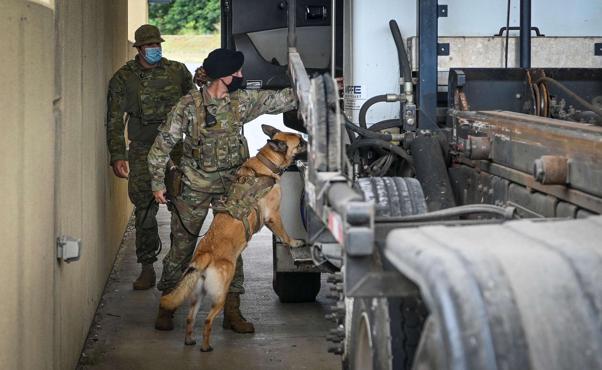U.S. Air Force and Royal Australian Air Force personnel search vehicles at the vehicle inspection facility during Cope North 22 on Andersen Air Force Base, Guam, Feb. 15, 2022.