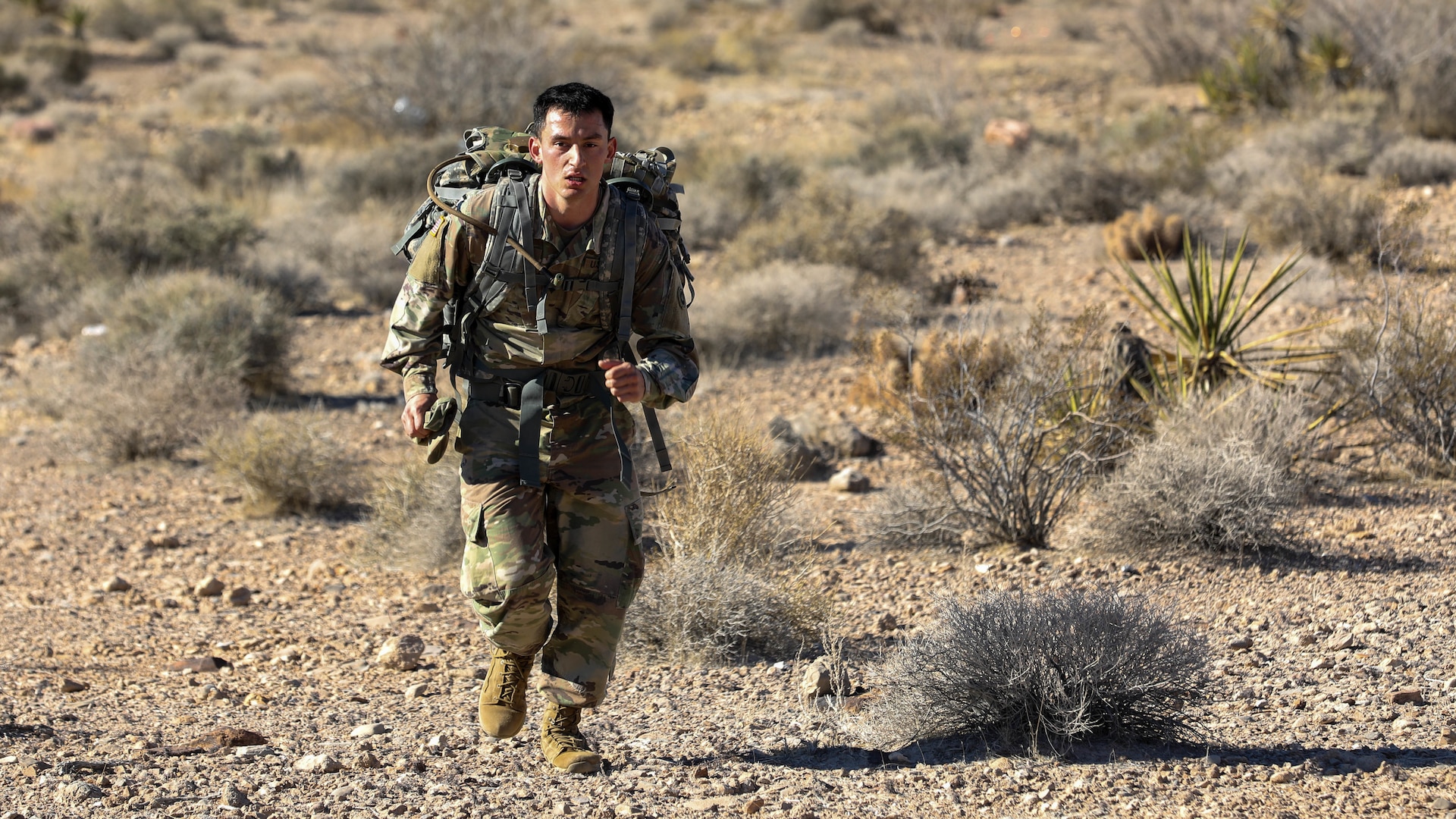 650th Regional Support Group holds Best Warrior Competition