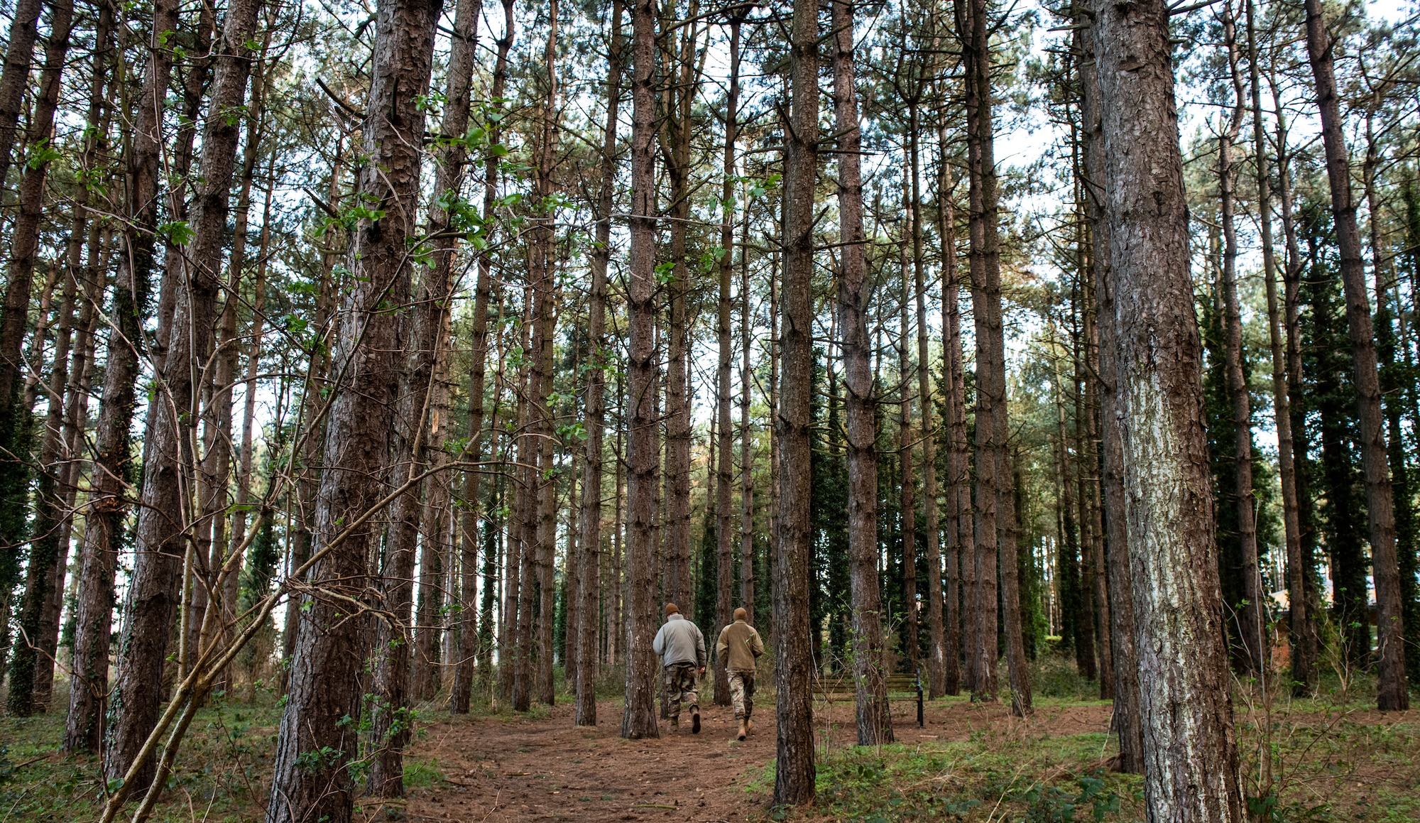 Members of the 100th Civil Engineer Squadron put their Survival, Evasion, Resistance, and Escape land navigation training to the test as they find their way through the forest on Royal Air Force Mildenhall, England, Feb. 17, 2022. The first part of their training took place inside of the SERE classroom, but now they must practice their new skills and navigate to specific points in the forest using only a compass. (U.S. Air Force photo by Senior Airman Kevin Long)
