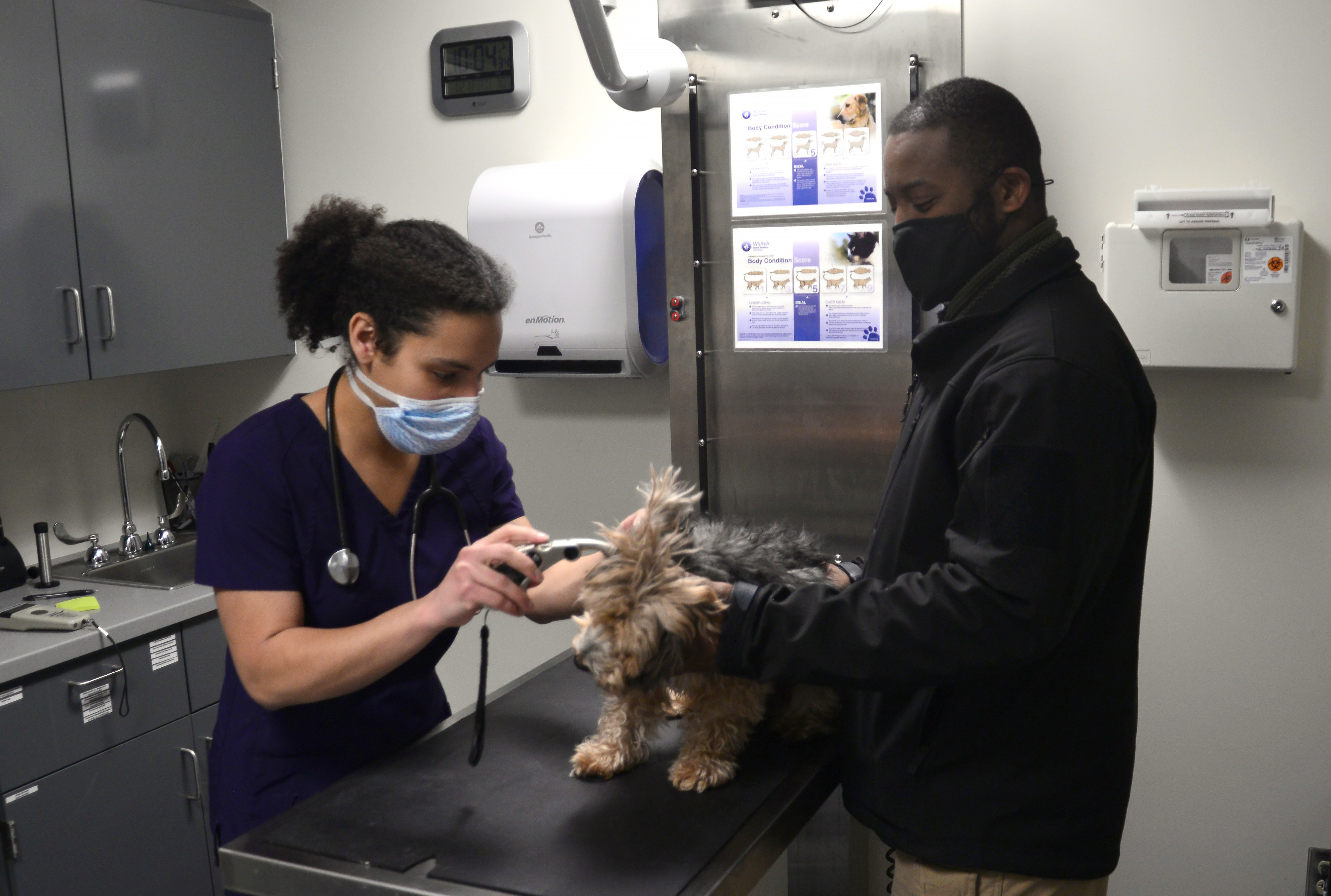Pet care specialist shop