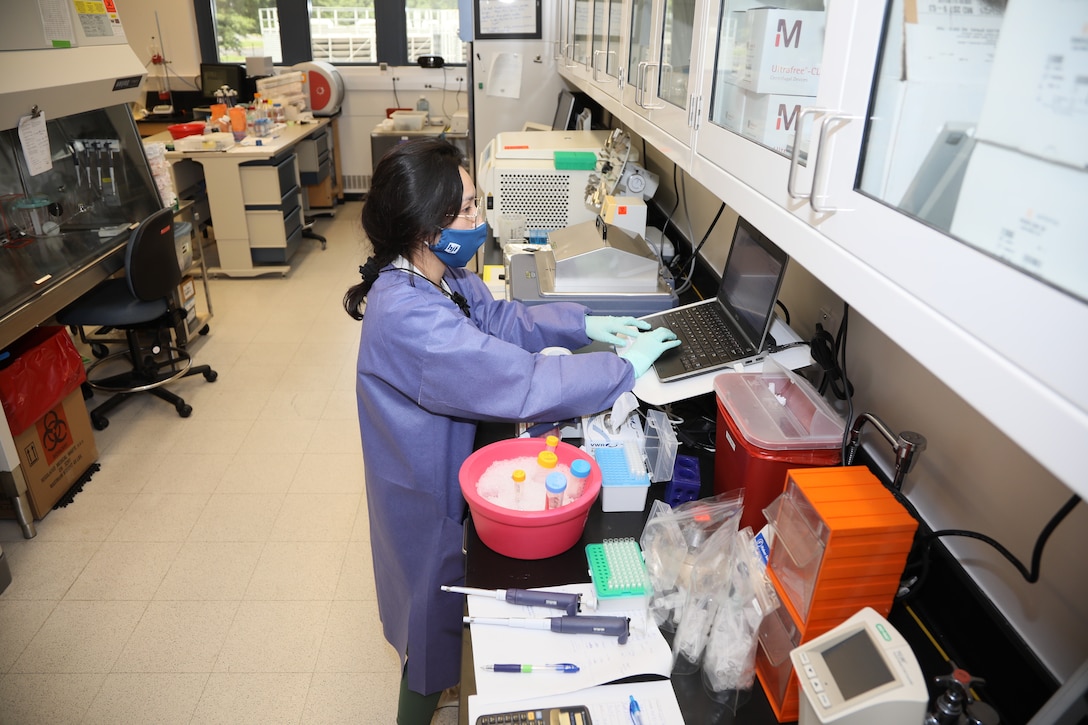 Ursula Tran a research assistant with The Emerging Infectious Disease Branch (EIDB), at the Walter Reed Army Institute of Research (WRAIR), studies Coronavirus protein samples, June 1, 2020