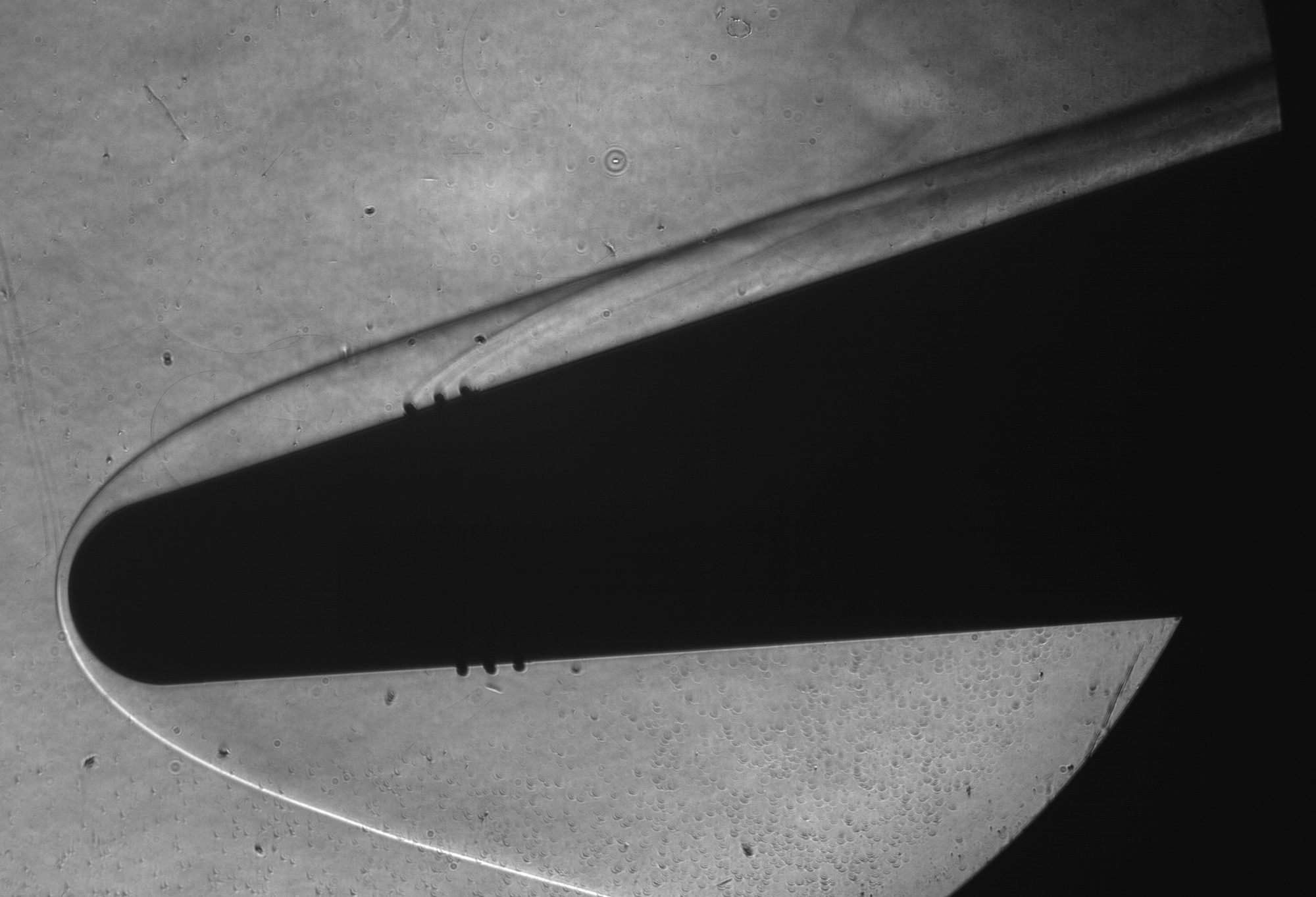 This image shows a bow shock at Mach 10 from a 7-degree cone with a blunt nose and boundary layer trip ring installed.