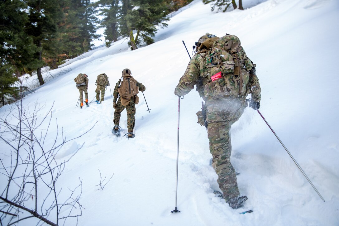 U.S. Airmen assigned to 124th and 15th Air Support Operation Squadron (ASOS), Idaho Air National Guard, and U.S. Marines assigned to 1st Air Naval Gunfire Liaison Company (ANGLICO), I Marine Expeditionary Force Information Group, conduct a movement up Pilot Peak during a joint-force cold weather training exercise, at Boise National Forest, Idaho, March 5, 2021. The Marines of 1st ANGLICO conducted close air support and cold weather training with 124th and 15th ASOS in order to sustain and develop joint terminal attack controller and joint fire observer technical skills, joint-force operation skills, and enhance cold weather operations capabilities. (U.S. Marine Corps photo by Lance Cpl. Gadiel Zaragoza)