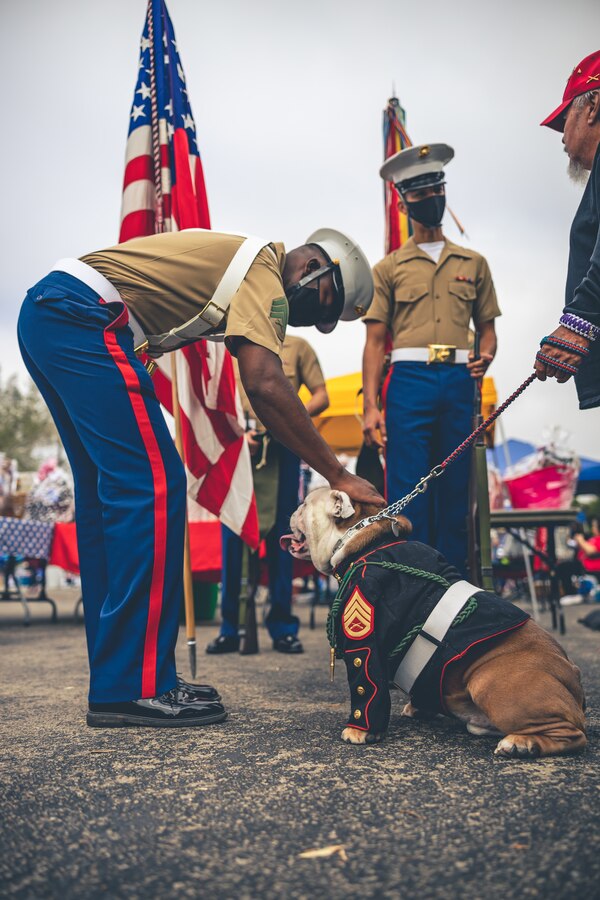 U.S. Marine Corps Sgt. Randy Banks an administrative specialist with I Marine Expeditionary Force Information Group, congratulates SSgt. Caesar III the 1/5 Vietnam mascot in Carlsbad, California, Nov. 6, 2021. Vettes for Veterans provides support for Veterans in need, Vettes for Veterans is unique in that they raise funds through entertainment events centered around automotive enthusiasts, with a focus on Veterans. I MIG Marines interacted with the community as an effort to give back to those who support the Corps. (U.S. Marine Corps photo by Cpl. Andrew Skiver)