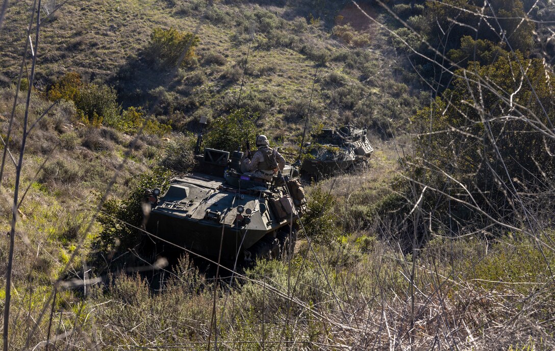 U.S. Marines in Light armored vehicles with 1st Radio Battalion, I Marine Expeditionary Force Information Group, utilize natural elements to camouflage LAVs during a simulated force on force company level exercise on Marine Corps Base Camp Pendleton, California, January 11, 2022. The exercise provided Marines the opportunity to improve their proficiency of reducing radio signatures. The 1st Radio Battalion establishes, operates, and maintains the necessary intelligence information architecture to enable and provide signals intelligence, electronic warfare, and computer network exploitation capabilities. (U.S. Marine Corps photo by Cpl. Austin Gillam)