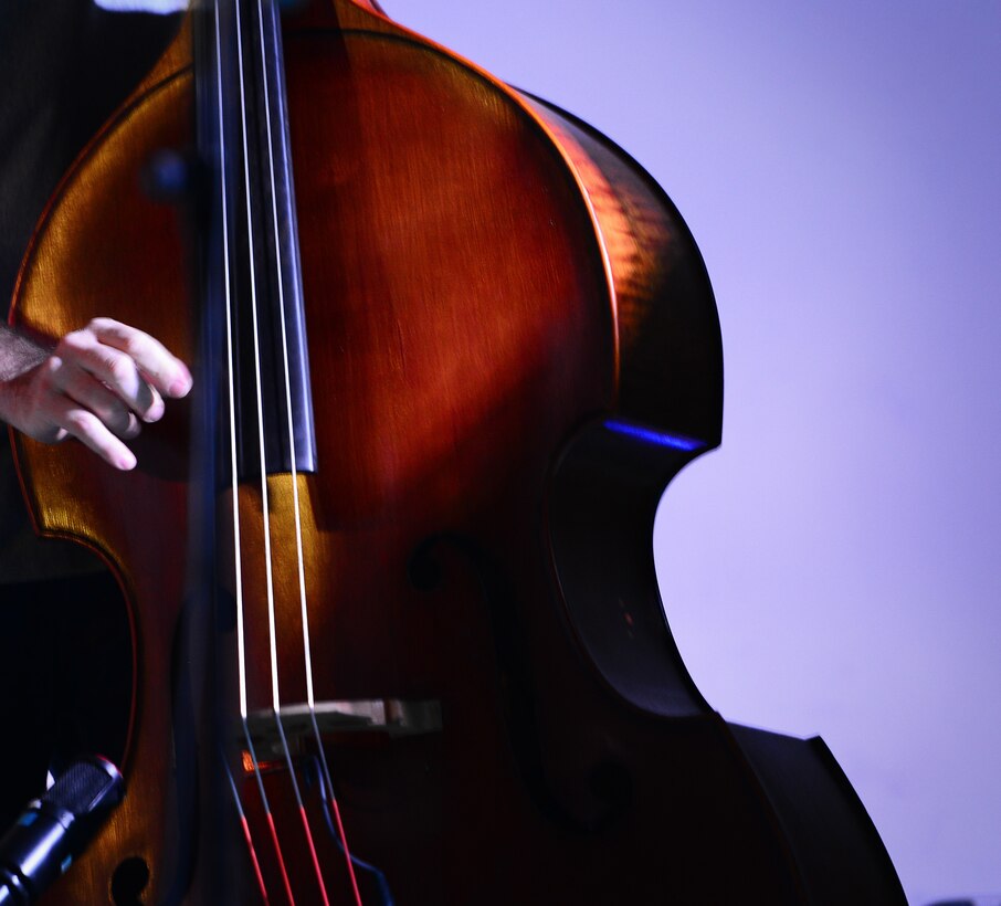 Bass Player playing