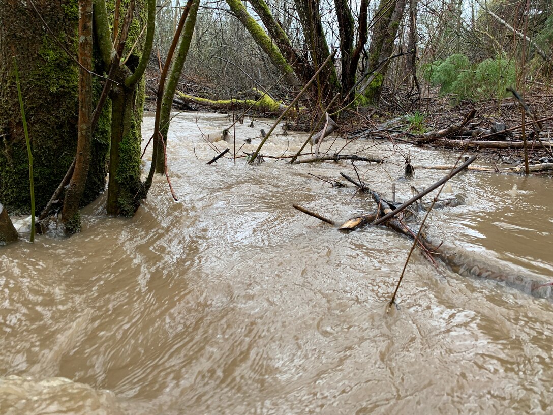 A creek in Beaverton, Oregon exceeds its banks during heavy rainfall, Feb. 28, 2022.

Army water managers expect an atmospheric river that’s dumping heavy rain in the Pacific Northwest will help refill some reservoirs this week. 

U.S. Army Corps of Engineers (Corps) officials anticipate this event will help bring Blue River and Dorena reservoirs up to normal lake levels for this time of year.