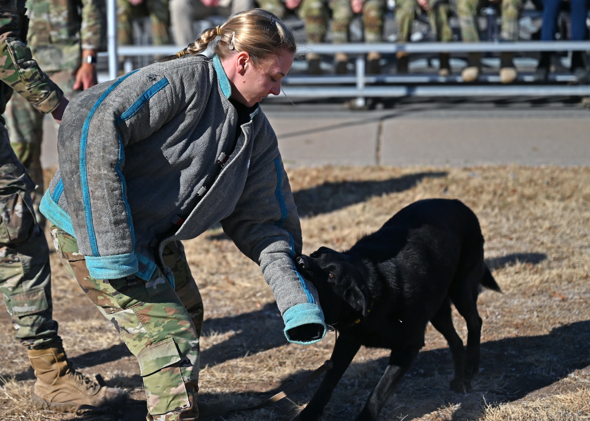 U.S. Air Force Capt. Heather Cooper, Air Force Reserve Officer Training Corps Detachment 805 assistant director of staff, participates in a military working dog demonstration at the Goodfellow Air Force Base, Texas, parade field Feb. 18, 2022. The cadets visited the base and were given the opportunity to speak with officers from communications, intelligence and security forces. (U.S. Air Force photo by Senior Airman Ethan Sherwood)