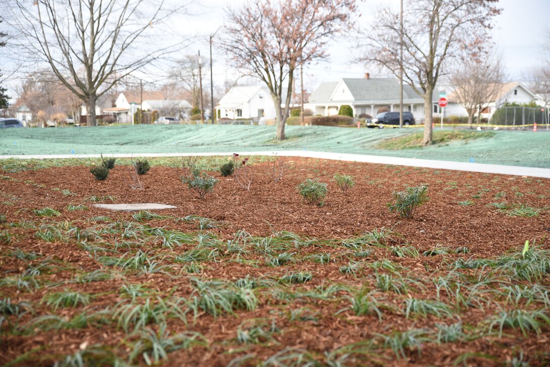 New vegetation planted on the north entrance.