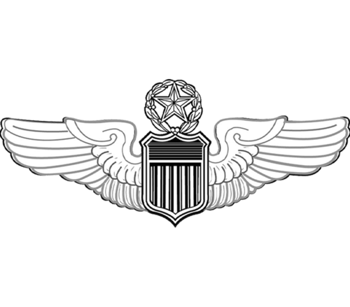 U.S. Air Force Command Pilot Insignia.