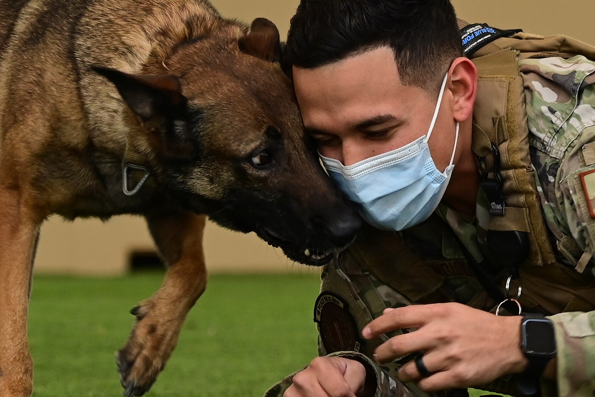 military working dog team training