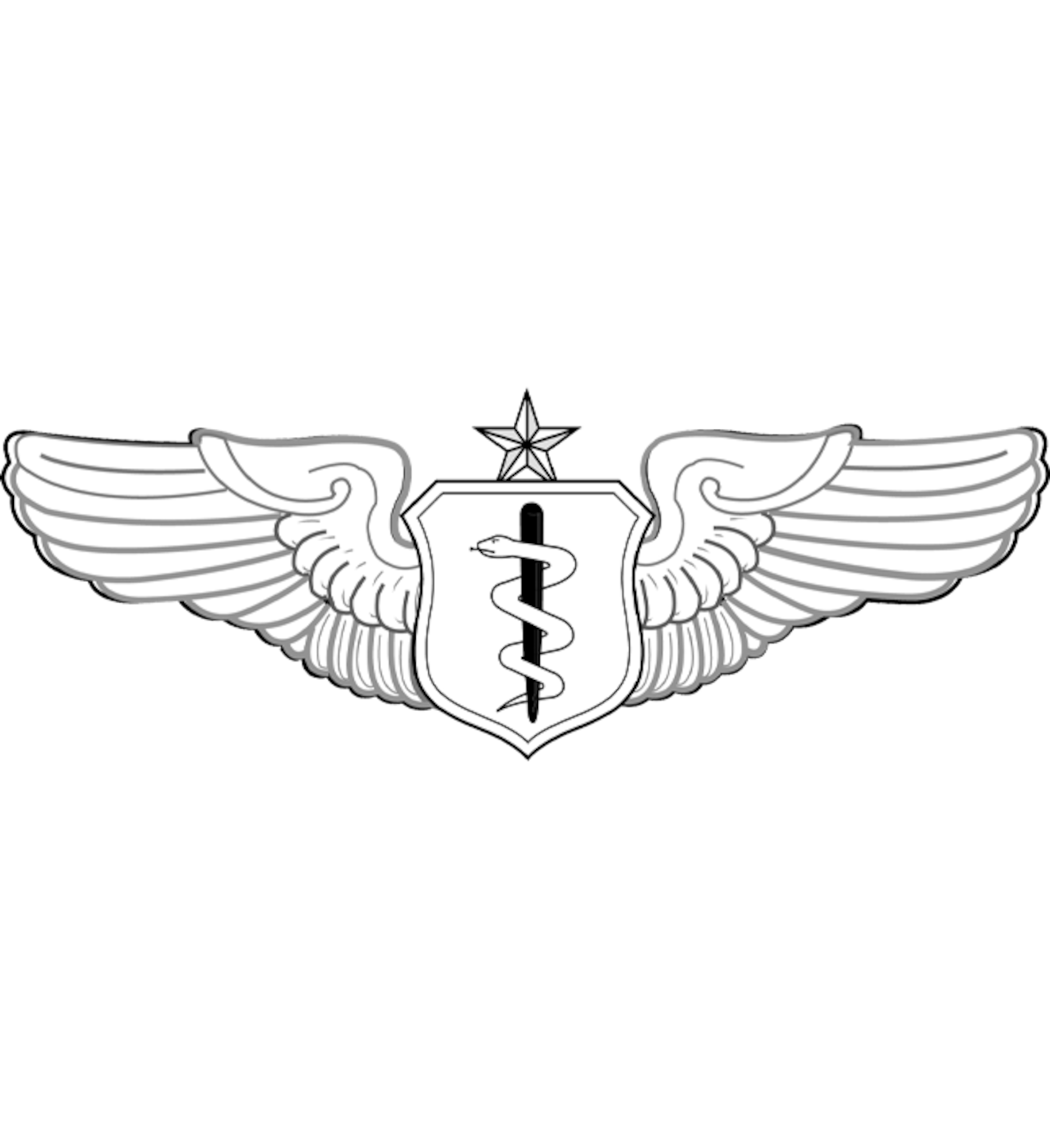 U.S. Air Force Senior Flight Nurse Badge.