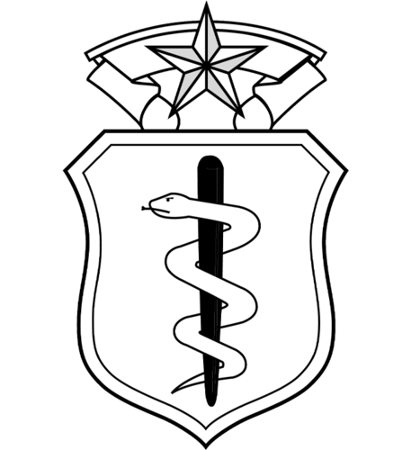 U.S. Air Force Chief Medical Corps Badge.