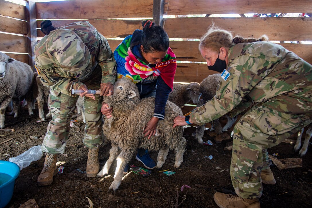U.S. Army Sgt. Valencia Guevara, an animal care specialist and Lt. Col Jenifer Hope, the Joint Task Force Bravo veterinarian, administers vaccines and medications to a sheep in the Chiantla region of Guatemala, Dec. 14, 2021.