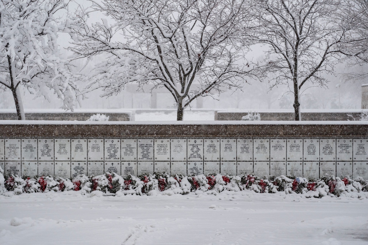 Snow falls on a building.