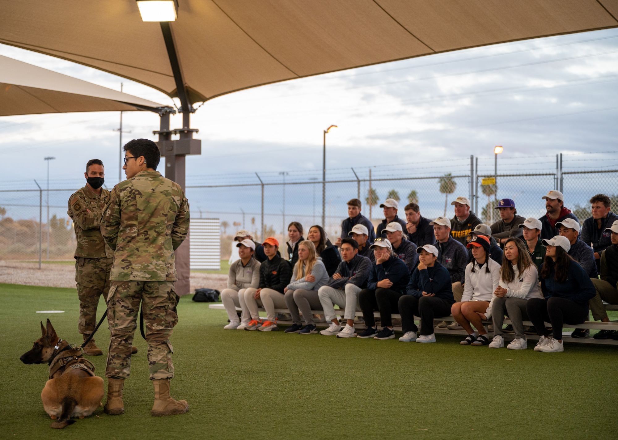 U.S. Air Force Staff Sgt. Elizabeth Pedroza, 56th Security Forces Squadron military working dog handler, and MWD Boaa perform a MWD demo during a base tour for the Patriot All-American golf participants Dec. 29, 2021, at Luke Air Force Base, Arizona. During the tour, 56th SFS members briefed National Collegiate Athletic Association and Veterans Golf Association of America golfers about the weapons and equipment they use and gave insight into what defenders do. (U.S. Air Force photo by Senior Airman Leala Marquez)