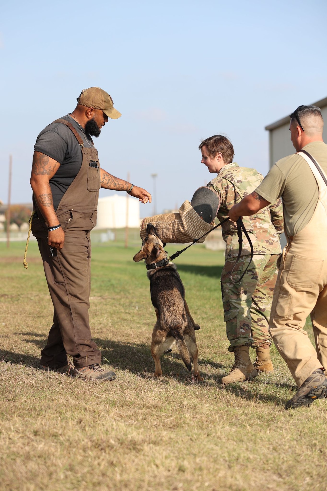 MWD canine bite work demonstration