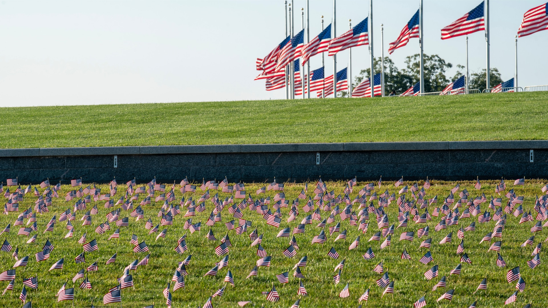 Thousands of small American flags honor the 200,000+ COVID-19 deaths to date in the United States. Washington, DC.
(covidmemorialproject, September 23, 2020. Photo by TJ Brown)