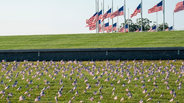 Thousands of small American flags honor the 200,000+ COVID-19 deaths to date in the United States. Washington, DC.
(covidmemorialproject, September 23, 2020. Photo by TJ Brown)