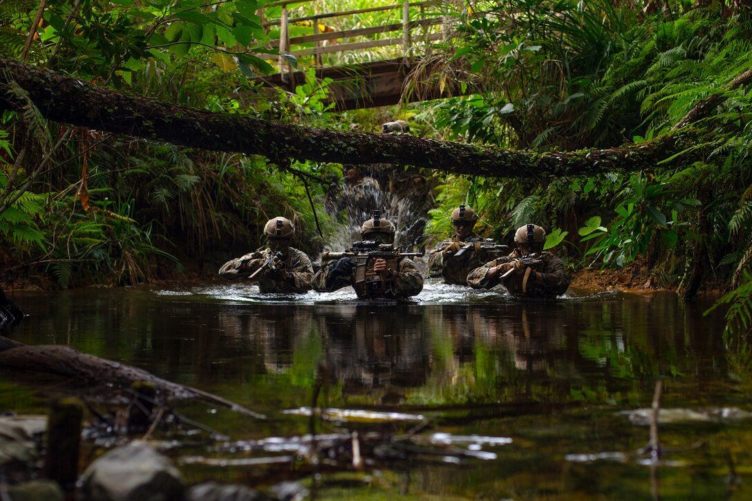 Marines aim weapons while moving through a body of water in a forest.
