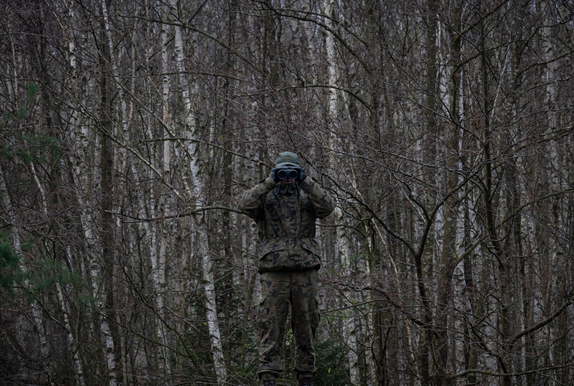 man in woods looks at other people in woods