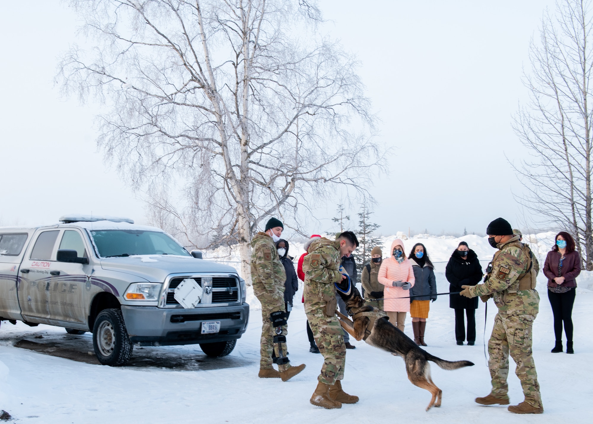 Members of the 673d Security Forces Squadron Military Working Dog team demonstrate MWD operations and capabilities for Pacific Air Forces and Joint Base Elmendorf-Richardson key spouses.