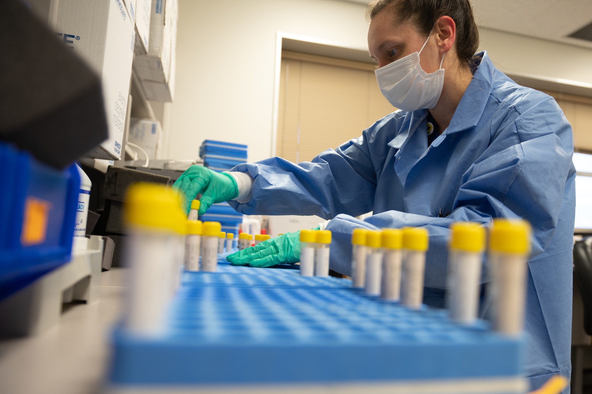 Lab assistant alphabetizing test samples