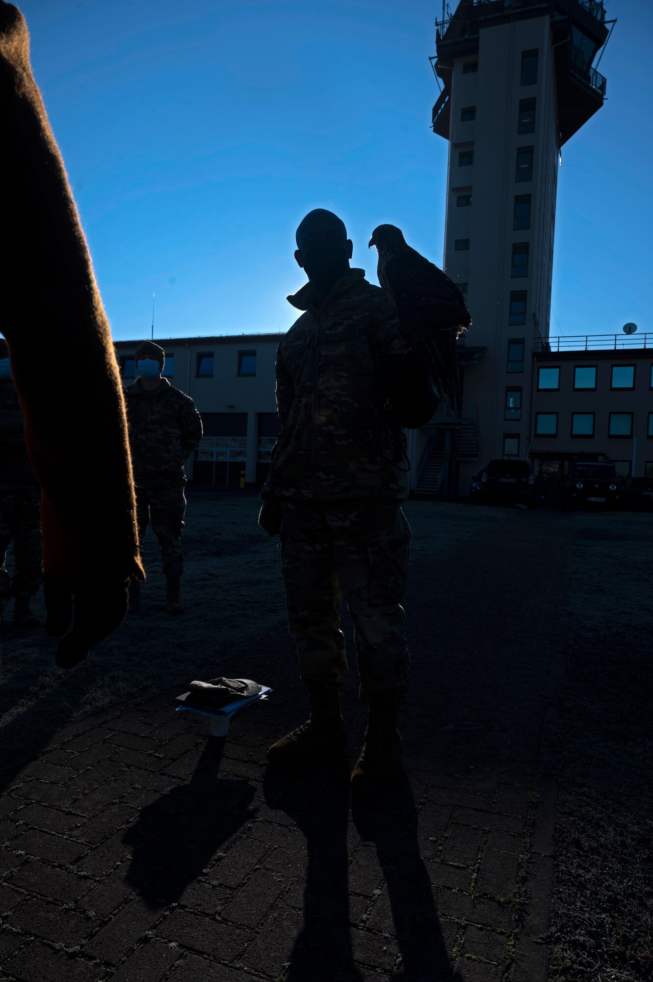 U.S. Air Force Col. Travolis Simmons, 3rd Wing commander, Joint Base Elmendorf-Richardson, Alaska, handles a hawk at Ramstein Air Base, Germany, Jan. 12, 2022. Simmons is an inspector for the 2022 Commander-in-Chief’s Installation Excellence Award and observed the Ramstein’s unique way of ensuring the local bird population does not cause damage to Aircraft by using birds of prey to keep other fowl away from the flight line. (U.S. Air Force photo by Senior Airman Thomas Karol)