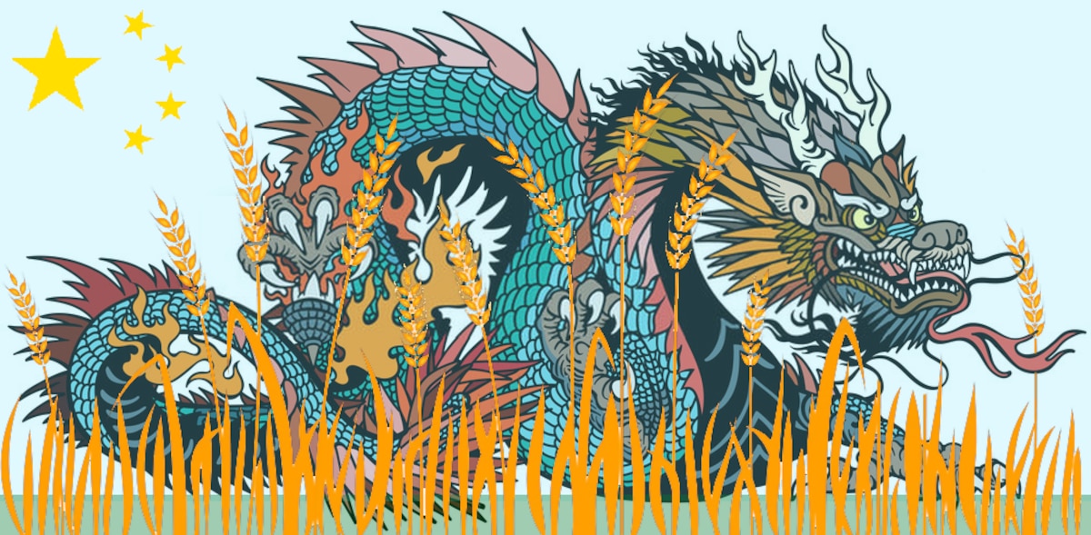 China's food insecurity