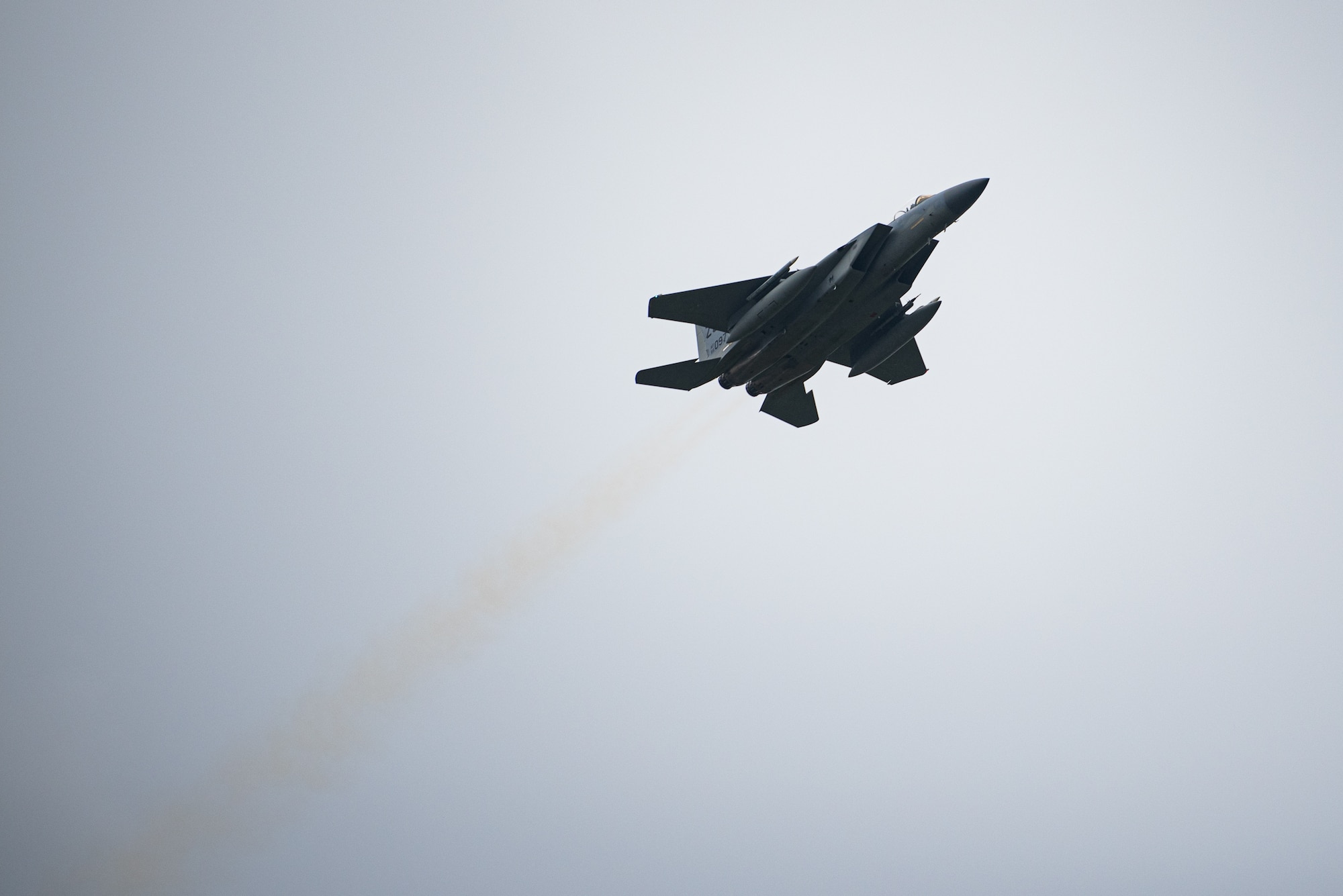 F-15 in flight