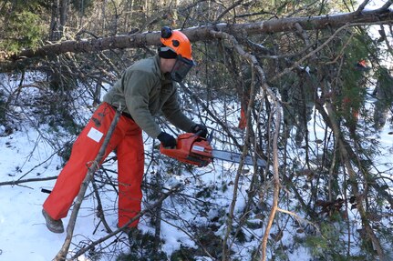 Virginia National Guard Soldiers assigned to the Powhatan-based 180th Engineer Company, 276th Engineer Battalion, 329th Regional Support Group, clear trees along a power line route to help with electricity restoration efforts Jan. 8, 2022, in Louisa County, Virginia.