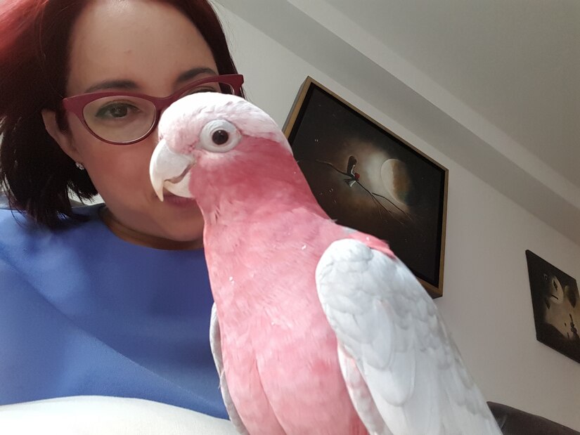 civilian employee and her pet bird