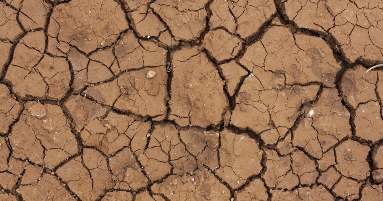 Link to drought information