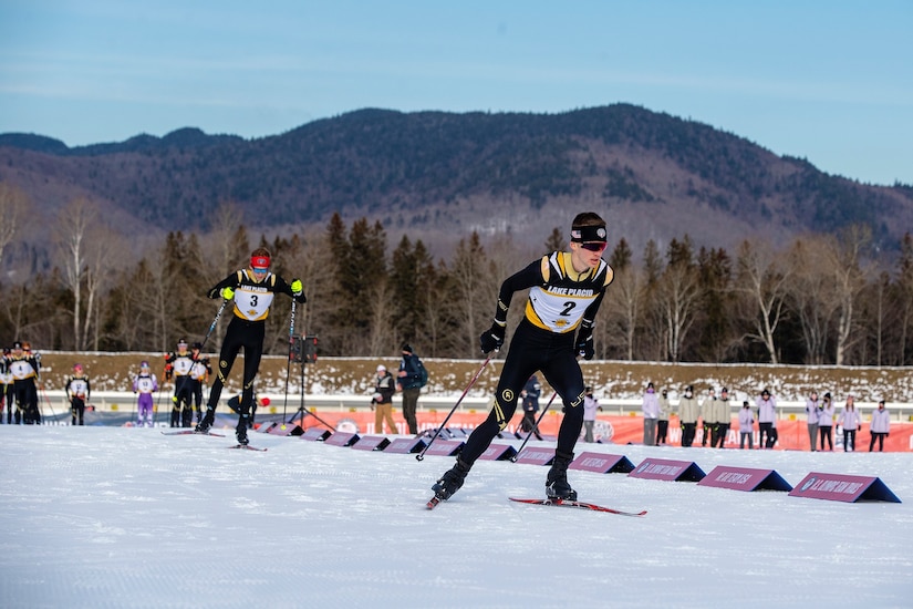 Cross COuntry Skier