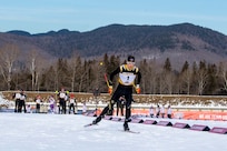 Cross country skier