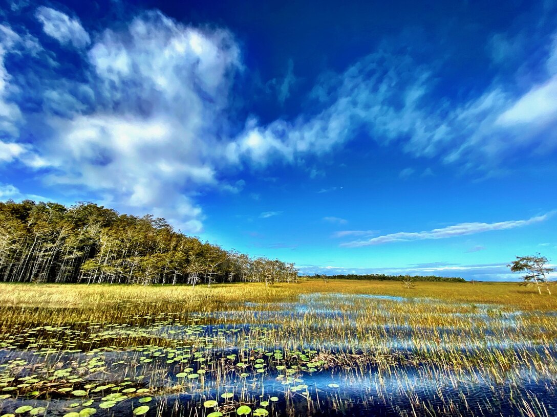 The Florida Everglades