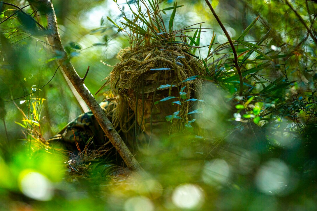 A Marine in camouflage in a wooded area.