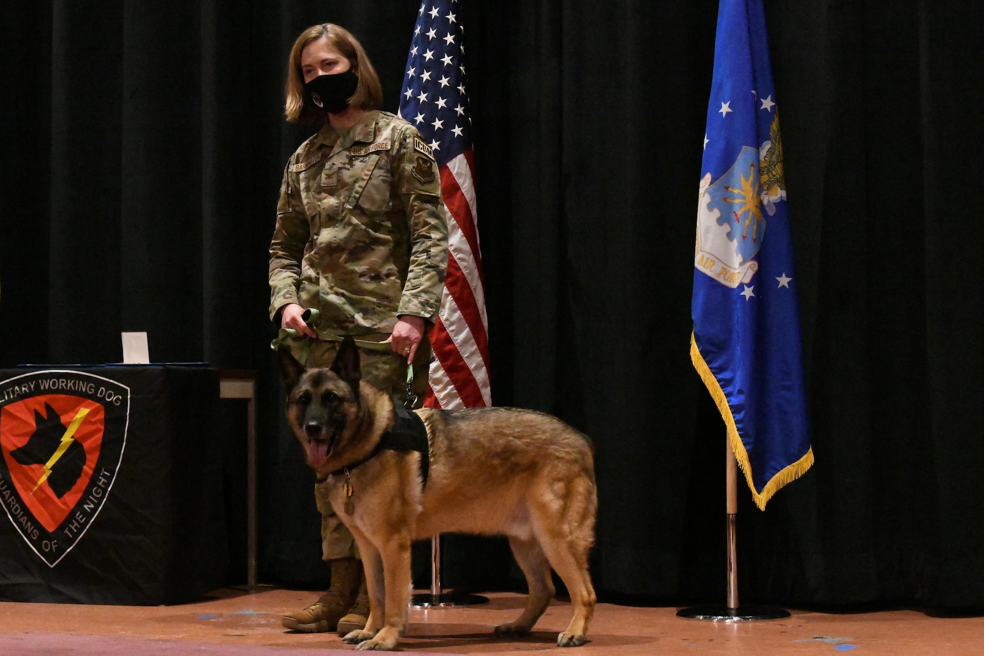 German shepherd dog with new owner